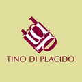 Tino Di Placido Chartered Accountant image 2