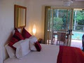 Tropical Coast Retreat image 4