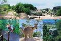Tropical Horizons Tours image 3