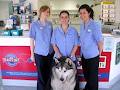 Vetcall veterinary hospital Ashmore image 6