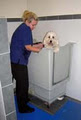 Vetwest Animal Hospital image 3