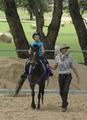 Wagga Equestrian School logo