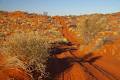 Wallaby Tracks Adventure Tours image 6