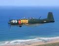 Warbird Air Adventures image 6