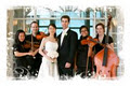 16 Strings String Quartet logo