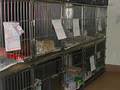 Adelaide Animal Hospitals image 4