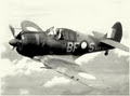 Adelaide Warbirds image 3