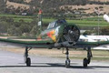 Adelaide Warbirds image 5