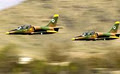 Adelaide Warbirds image 1