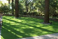 All Seasons Synthetic Turf image 5