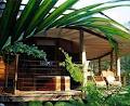 Amazing Wollumbin Palms Retreat at Mt Warning image 3