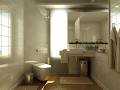 Amazing bathrooms image 2