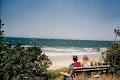 An Oyster on the Beach Sawtell image 3