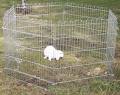 Animal Tuckerbox Devonport image 6