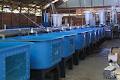 Aquasonic Pty Ltd image 4