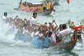 Arafura Dragons Paddlers Club image 2