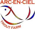 Arc-En-Ciel Rainbow Trout image 5