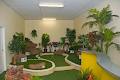 Artificial Grass & Plants image 4