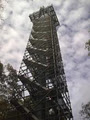 Australian Scaffold image 4