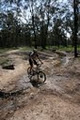 Back Yamma State Forest image 2