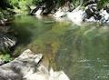 Barrington Tops Salisbury Lodges image 5