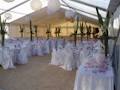 Beavis Party & Event Hire image 3