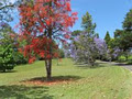 Bellingen Valley Motor Lodge logo