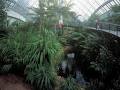 Bicentennial Conservatory image 1