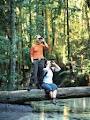 Bird watching on the Fraser Coast image 1