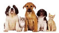 Blanck St Veterinary Surgery image 1