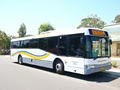 Blue Mountains Bus Company logo