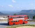 Blue Mountains Explorer Bus image 1