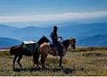 Bogong Horseback Adventures image 6