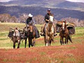 Bogong Horseback Adventures logo