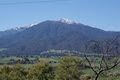 Bogong Hotel image 5