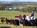 Bonny Brae Farm image 6