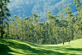 Bonville International Golf Resort image 3