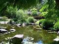 Brisbane Botanic Gardens image 1