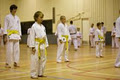 Brisbane Goju Karate image 4