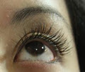 Brisbane Lashes image 3