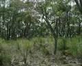 Brisbane Ranges National Park image 2