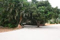 Broome Caravan Park image 2