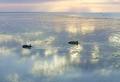 Broome Hovercraft image 2