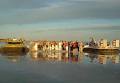 Broome Hovercraft image 6