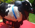 Bucking Brahman Mechanical Bull Hire image 1
