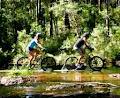 Byron Bay Mountain Bike Tours image 1