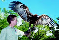 Cairns Tropical Zoo & Cairns Night Zoo image 2