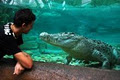 Cairns Wildlife Dome image 4