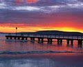 Calamaris at Beachside image 1