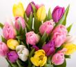 Canberra Florist Shop image 1